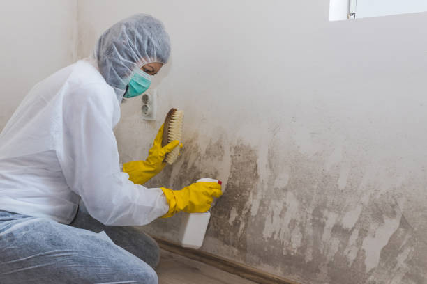 Mold Remediation for Rental Properties in Seaside, OR