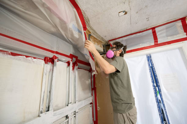 Best Comprehensive Air Testing for Mold Contaminants  in Seaside, OR