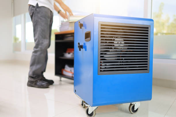 Best Industrial Mold Remediation  in Seaside, OR